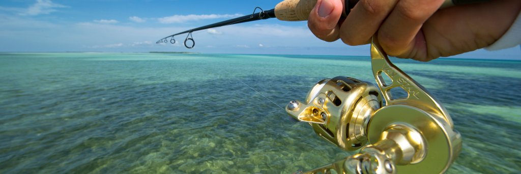 Reel_Time's profile banner image