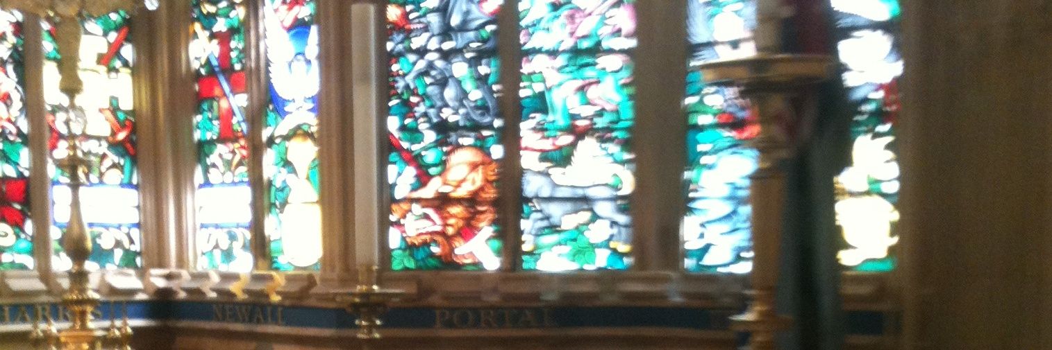 fernanda christianse banner