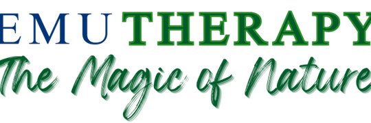 emutherapy's profile banner image