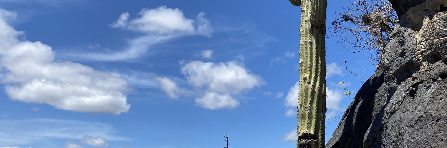 VickyWongM's profile banner image