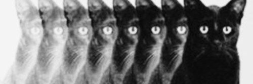 nakafysa's profile banner image