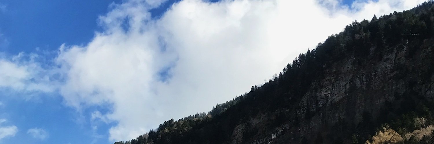 ta_raskina's profile banner image
