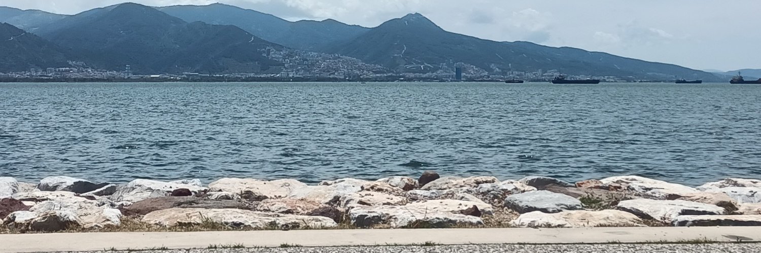 Reis Bey 🇹🇷 banner