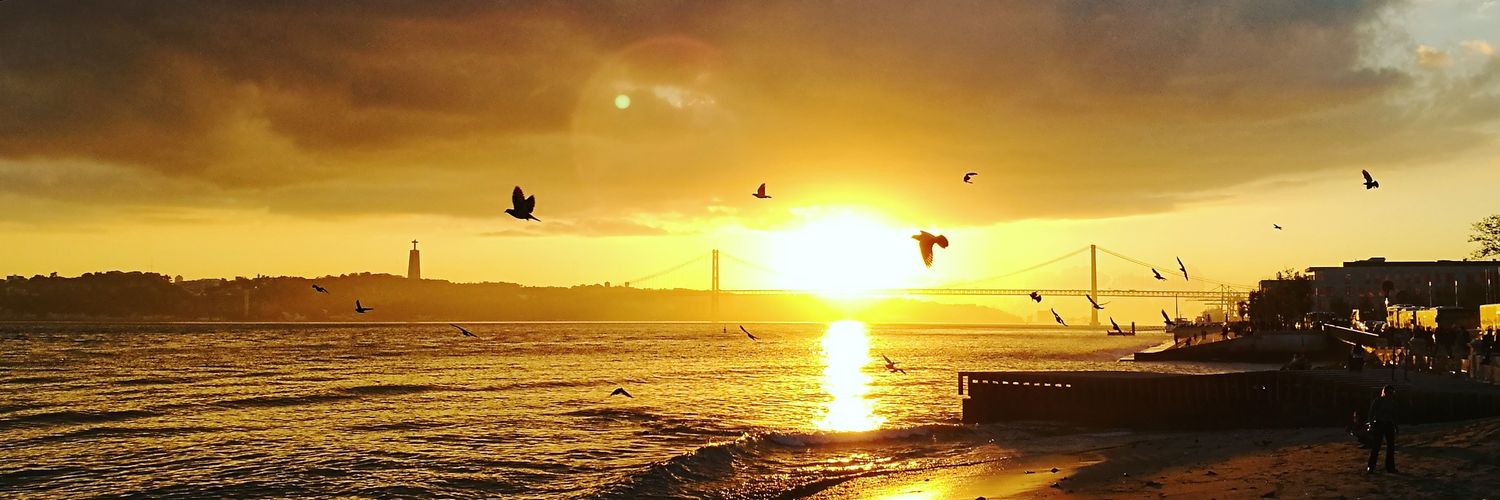 David Miranda banner