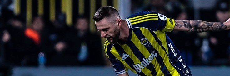 flaemmev's profile banner image