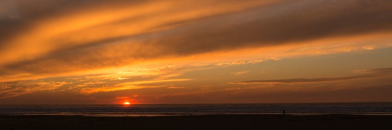 Steve Bottoms banner