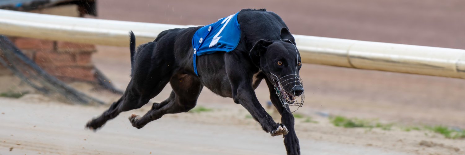 Zenith Racing banner