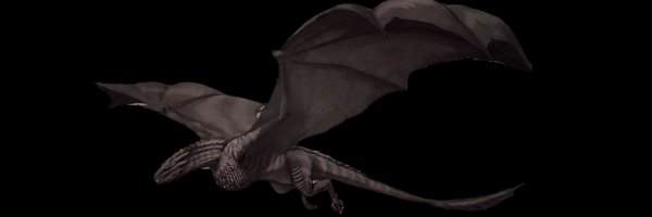 DRGNM0NARCH Profile Banner