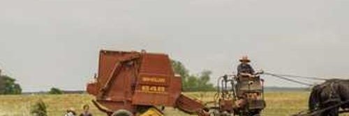 npkr398827's profile banner image
