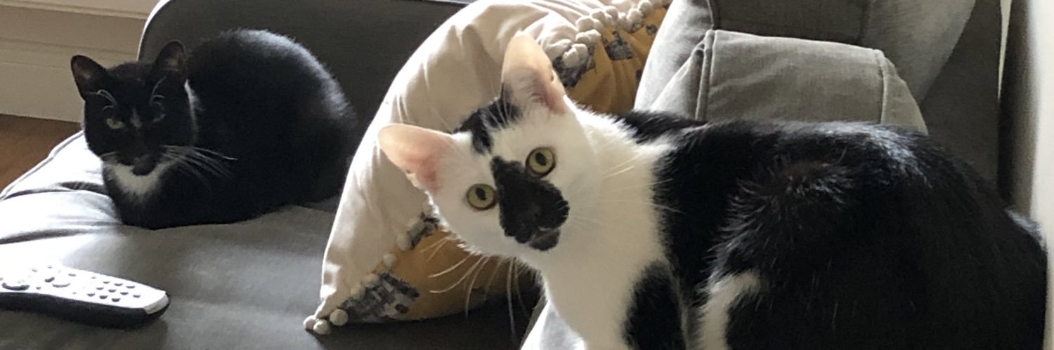 SimSmithy's profile banner image