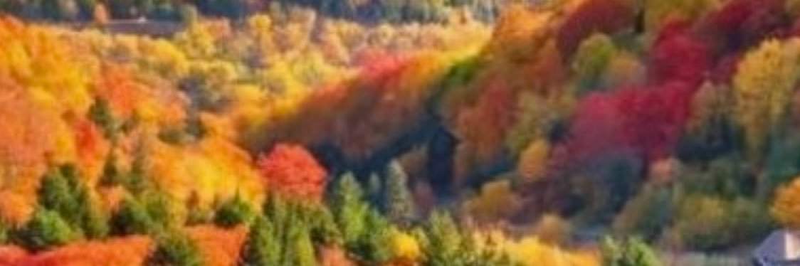 Kurdo428172's profile banner image
