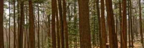 jbv1374866's profile banner image