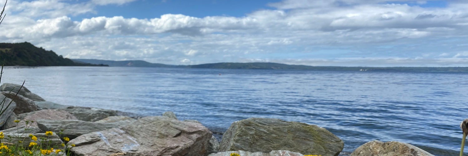 yinyereil's profile banner image