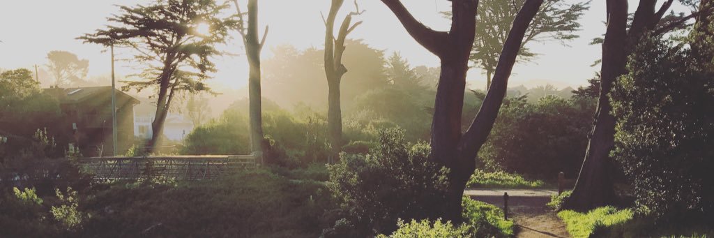 JustinFalls's profile banner image