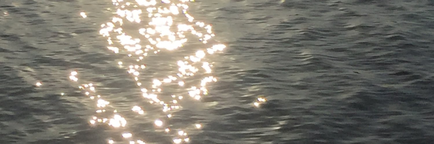 bibbinewbie's profile banner image