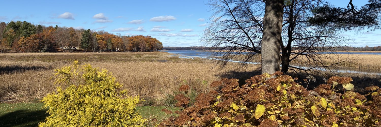 Gregory Williams banner