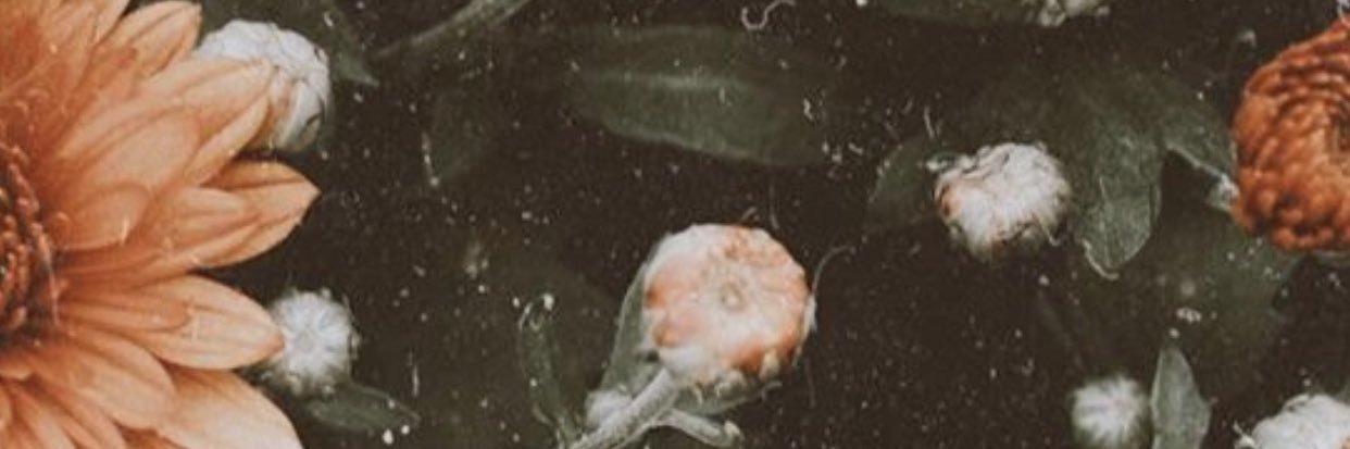 shell_face's profile banner image
