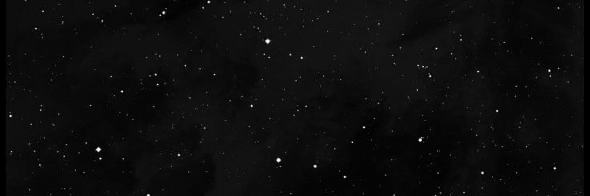 54 banner