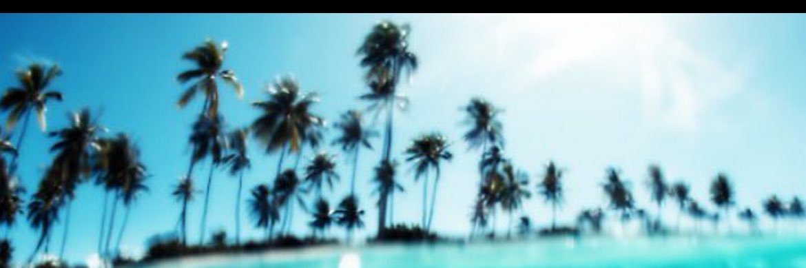 J£SSi banner