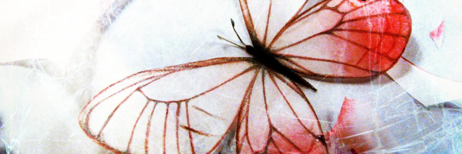VanHal07's profile banner image