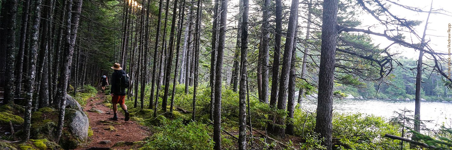 EnvironmentME's profile banner image