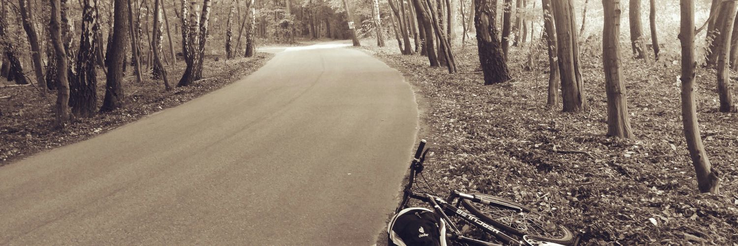 zdoni's profile banner image