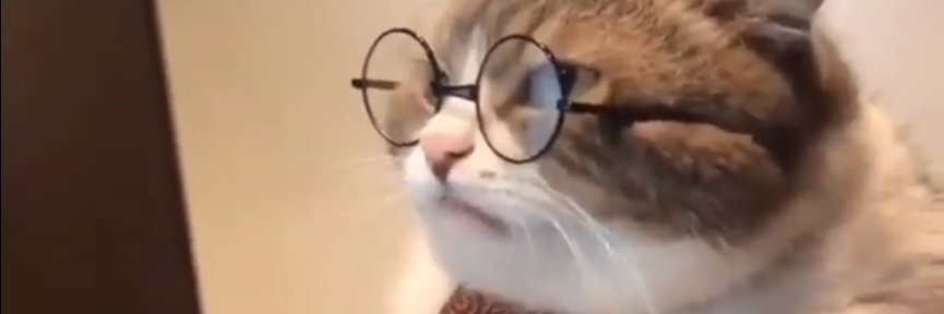 Milee || gap 25 banner