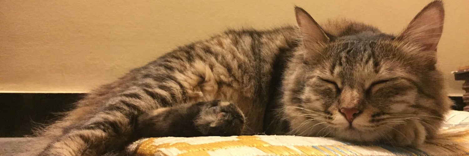 trancilicious's profile banner image
