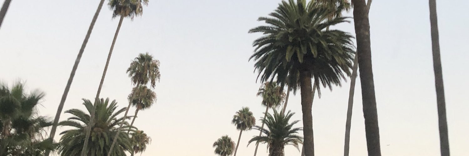 veeegamez's profile banner image