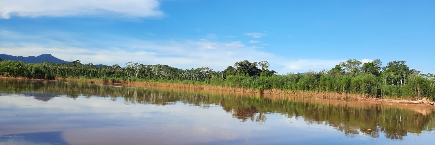 Nancy Vacaflor banner