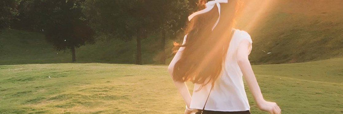FlaviaStee4105's profile banner image