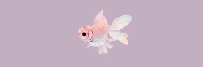 LetyAnndrade's profile banner image