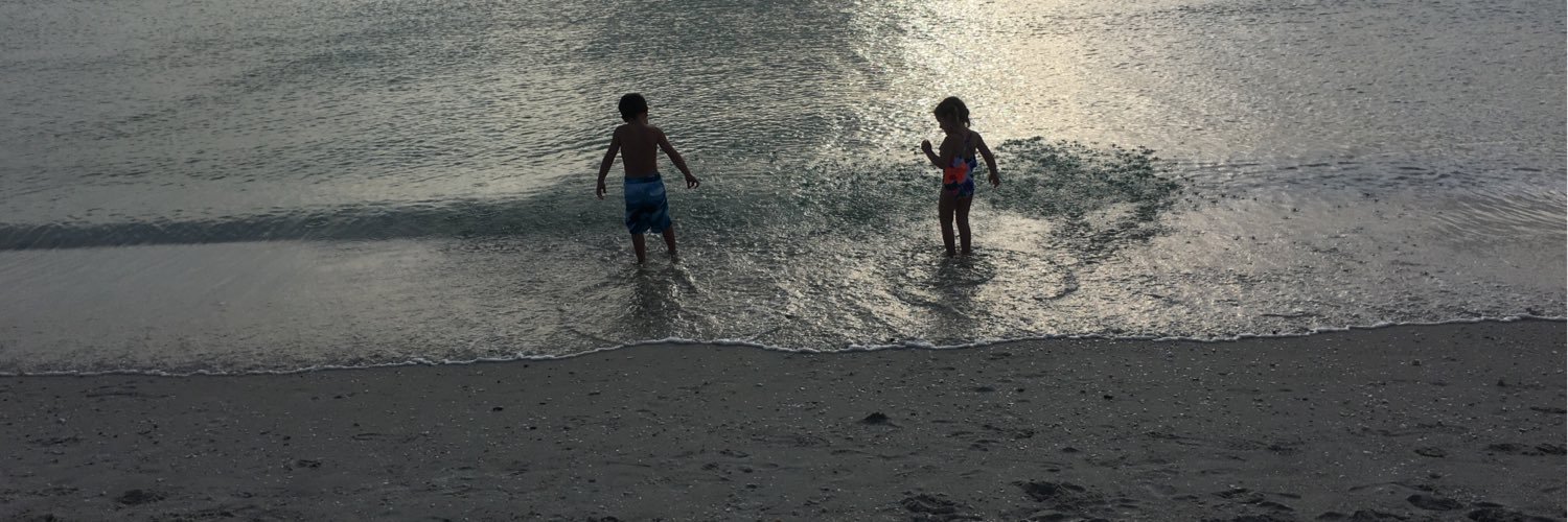 Dennis Schiraldi banner