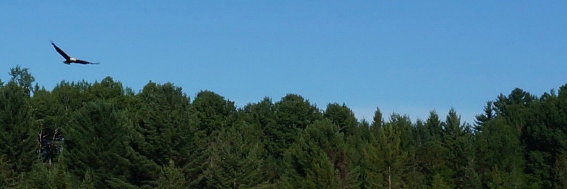 dpullman's profile banner image