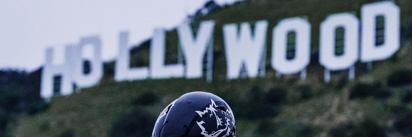 FrogFanForLife's profile banner image