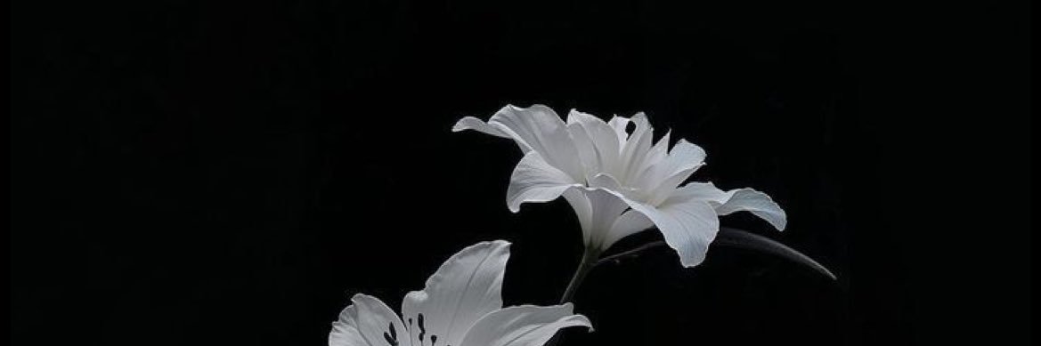 𖤐 banner