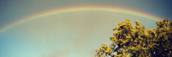 JuliaST Profile Banner