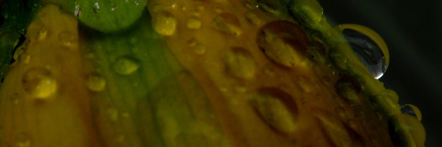 stevesevilempir's profile banner image