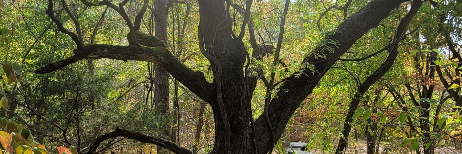 kjbreith's profile banner image