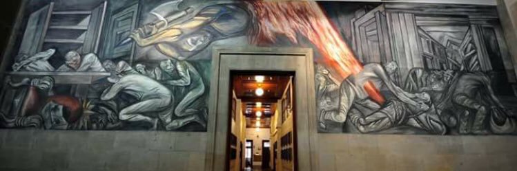 Daniela Suárez banner