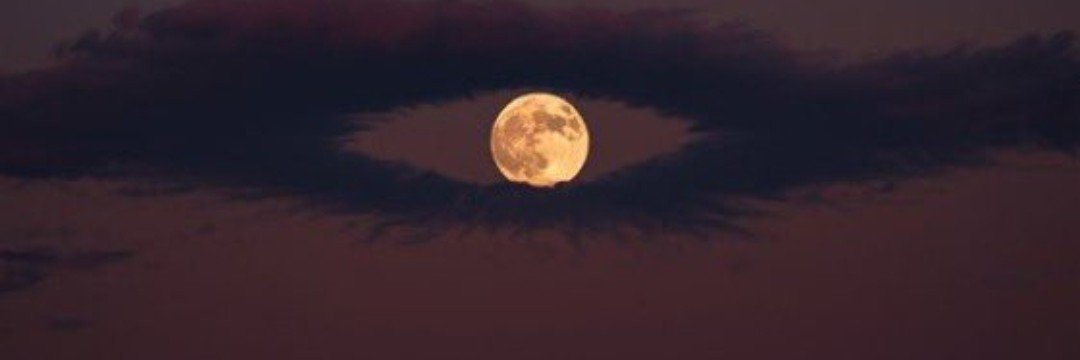 whoiseth_X's profile banner image