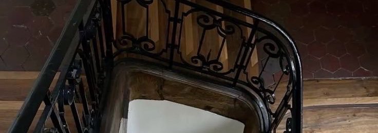 sangpaws's profile banner image