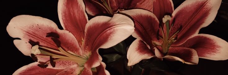 itl_gl's profile banner image