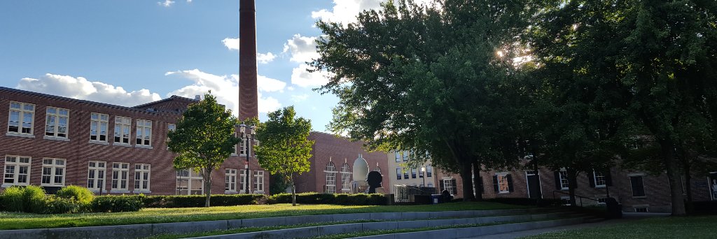 Leeann Atkinson banner