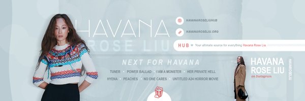 havanaliuhub Profile Banner