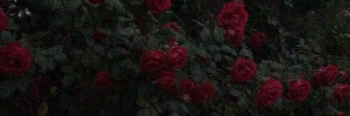 𝐊𝐚𝐧𝐚_𝐬𝐮𝐛 banner