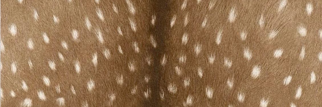 neener banner