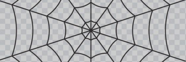 spider.........🕷️ banner