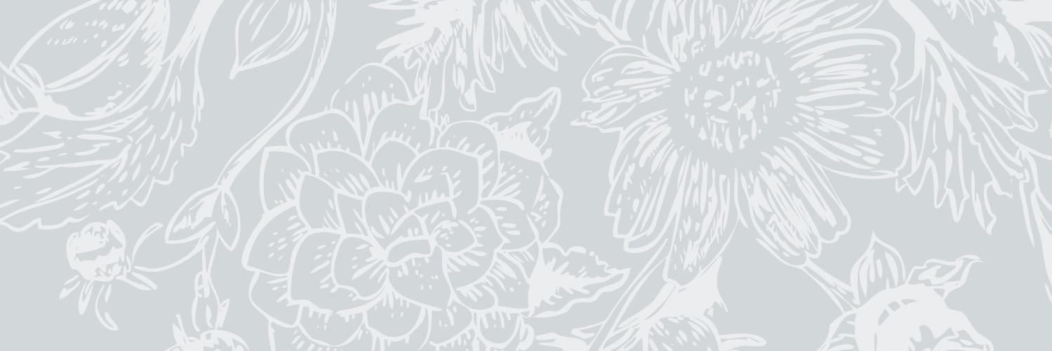 Kanibal & Co. banner