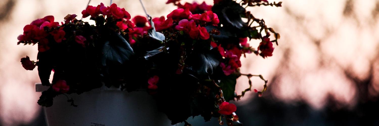 nickgaede's profile banner image